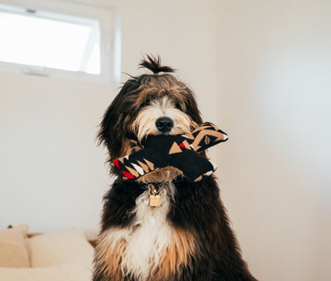 Phyllis with one of our X's and bOne's toys