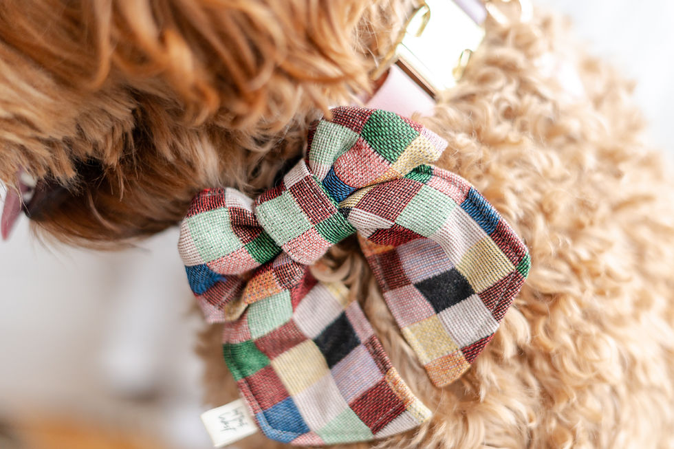 Thumbnail: Quincy Accessories