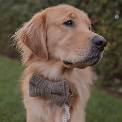 BFW Winter 2025-60.jpg