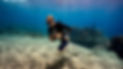 Man running underwater with a rock on sandy ocean floor in front of shipwreck