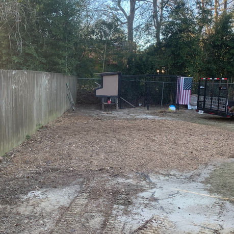 Stump Grinder Before and After photos. Stump Grinder hire Columbus, GA. 