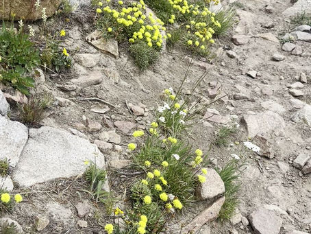 Heads Up, Keep Moving