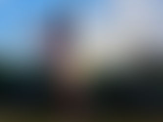 Mr President, Listen To Your Critics