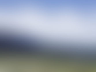 Don't Lose Your Focus