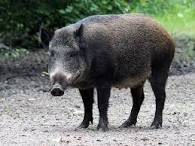 Hold Onto Those Pearls