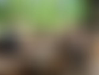 The Generation of Hope