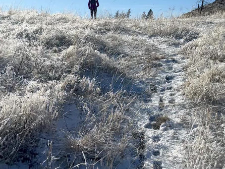 Finding Stability in Instability