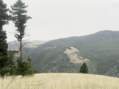 We Need Something To Unify Us