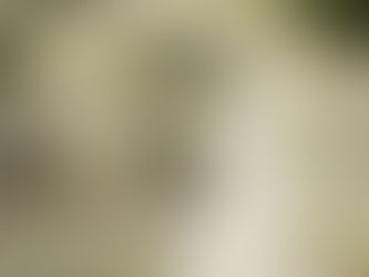 The Native Americans Did What?