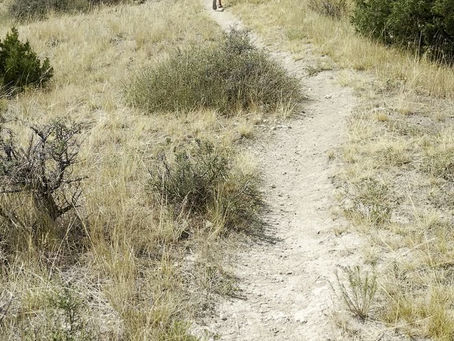 The Native Americans Did What?