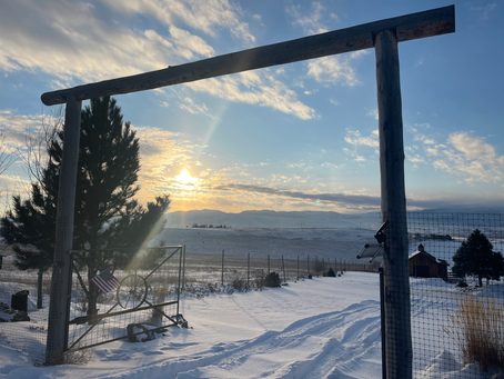 It's Disheartening To Hear