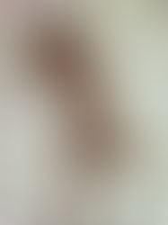 Diet, metabolism & self-knowledge. Working smart VS. working hard. 