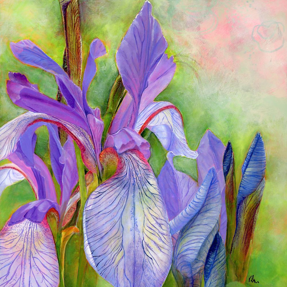 Irises