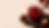 background umma.png