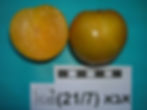 DSCN8616.JPG