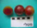 DSCN5059.JPG