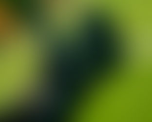 Black Friday Goalkeeper Deals 2025: Best Gloves, Gear & Training Programs for Every Keeper