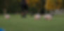 Goalkeeper film analysis program