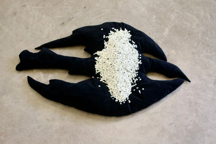 100 Childhoods in 10,000 Milk Teeth, from Fledgling 2025. Cardiff