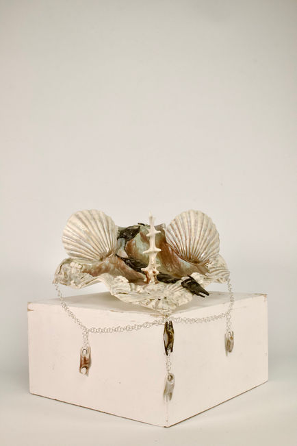 Shell Shaffron (2024)