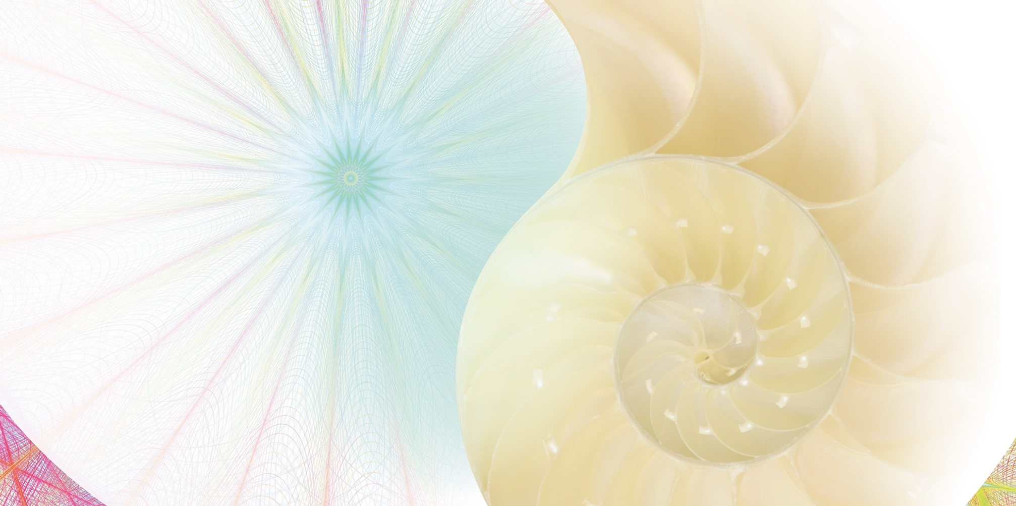 Composizione grafica ispirata ad una visione olistica del movimento, all'energia e alla natura