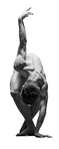 GR_male-ballet-dancer-posing-gray.png