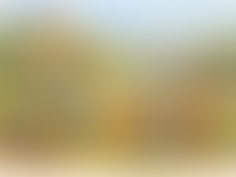 Compte rendu des débats