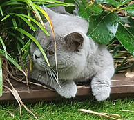 20201216_161621.jpg