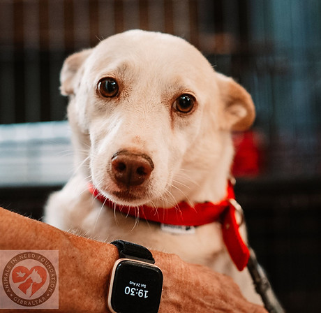 WhatsApp Image 2024-08-28 at 19.26.25 (1).jpeg