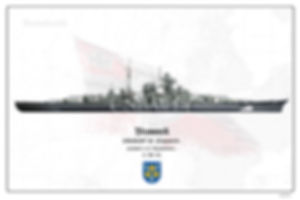 Bismarck Denmark strait camo WL print