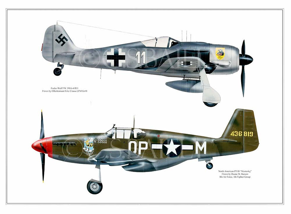 Adversary Profile 2 Focke Wulf vs Mustang