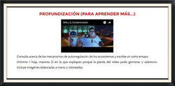 profundización_1_edited