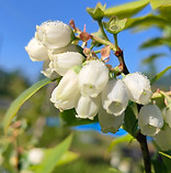 IMG20240518070212_edited.jpg
