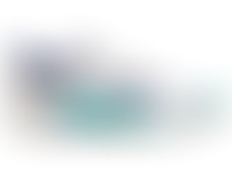 Nike Court Zoom Pro NXT 2022 