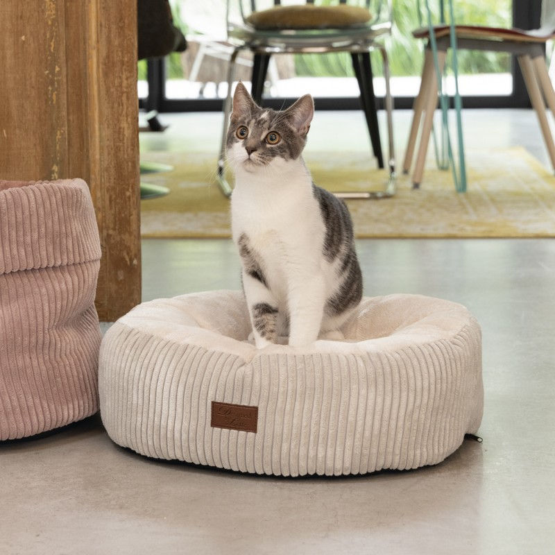 Miniature : Coussin VELOURS CÔTELE
