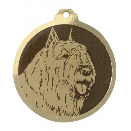 Miniature : Médaille gravée 36mm 18g 110 races disponibles