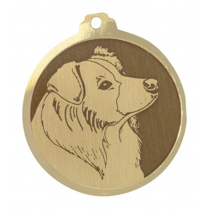 Miniature : Médaille gravée 36mm 18g 110 races disponibles