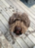 IMG_6882.jpeg