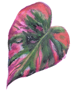 Pink and Green Watercolor Leaf