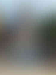 Karaneeswarar, Chennai