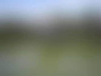 Temples of Tamil Nadu and Pondicherry #107: Vaidyanathaswamy Temple, Vaitheeswaran Koil