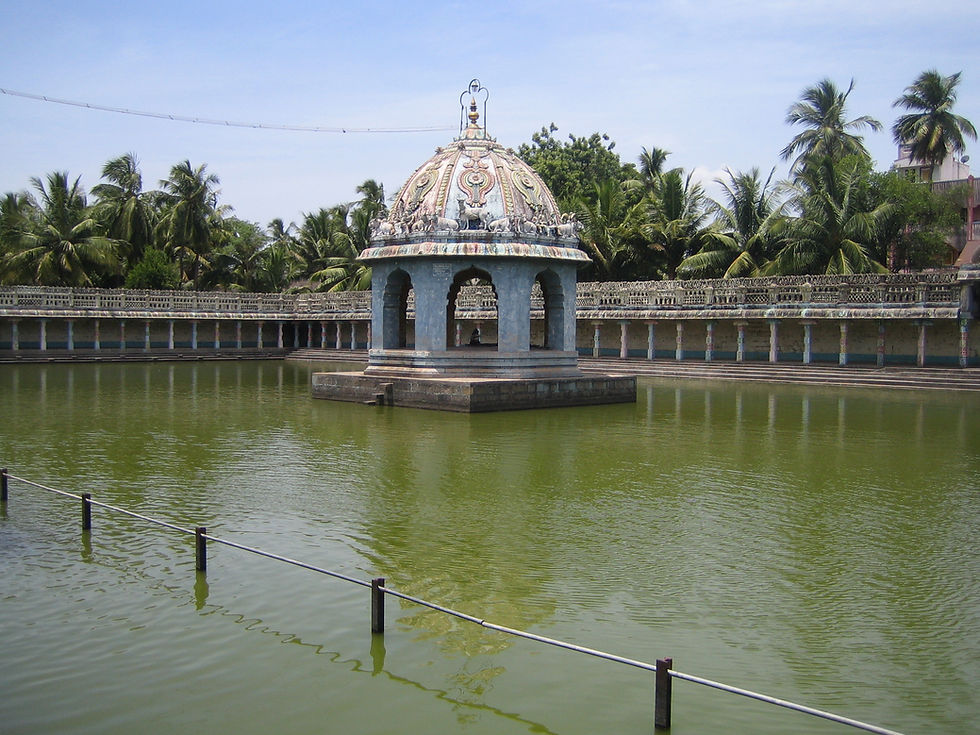 Temples of Tamil Nadu and Pondicherry #107: Vaidyanathaswamy Temple, Vaitheeswaran Koil