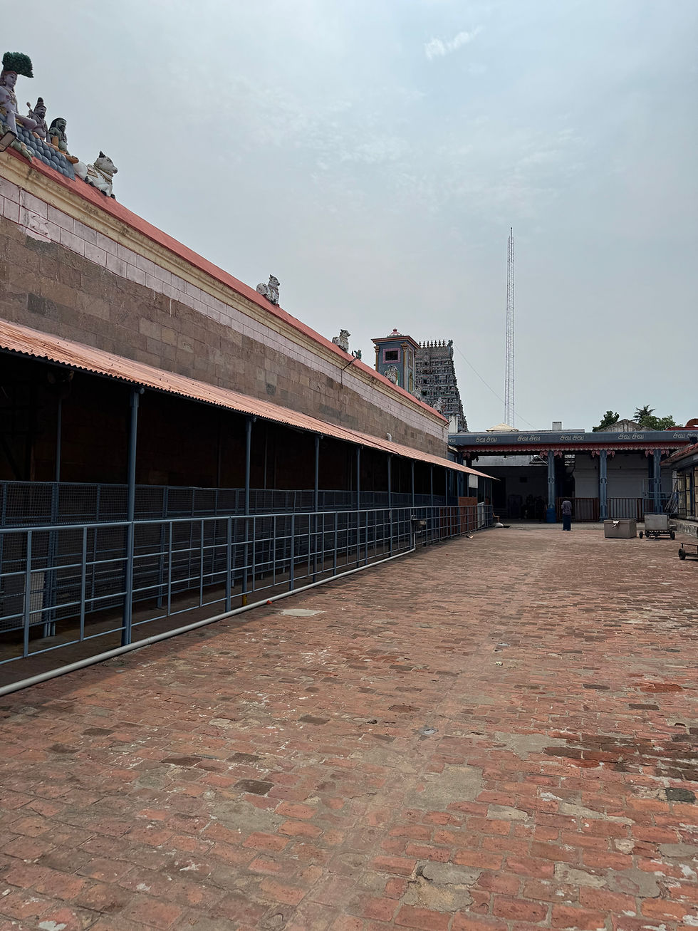 Temples of Tamil Nadu and Pondicherry #111: Dharbaranyeswarar or Saneeswarar Temple, Thirunallar