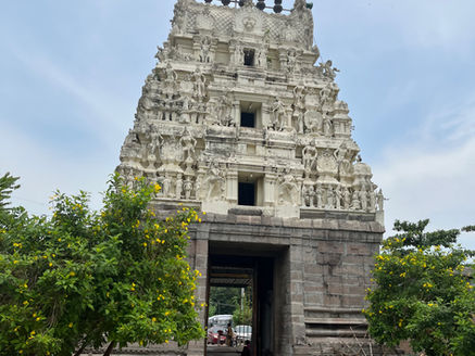 Temples of Tamil Nadu and Pondicherry #54: Jalanatheeswarar Temple, Thakkolam