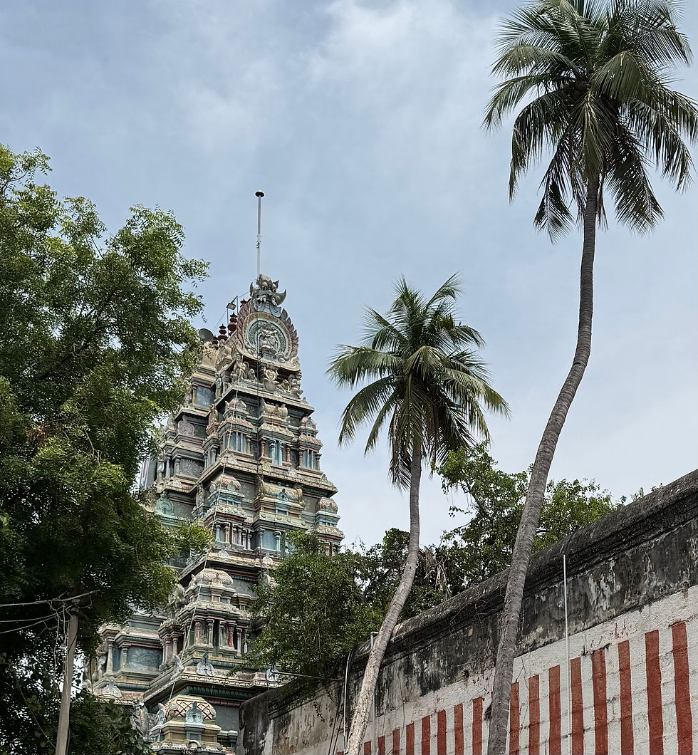 Temples of Tamil Nadu and Pondicherry #88: Kalamegaperumal Temple, Thirumohur