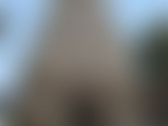 Temples of Tamil Nadu and Pondicherry #49: Gnanapureeswarar or Idaichuranathar Temple, Thiruvadisoolam