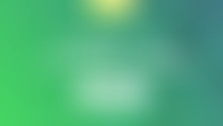 大手自動車メーカー向システム更改全体のPMO支援