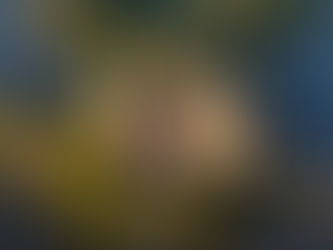 Charles conducts the Staatskapelle Orchestra in Schwerin, Germany