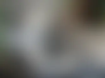 Blissful Red draws inspiration from old music styles and creates the new in "Front Street"