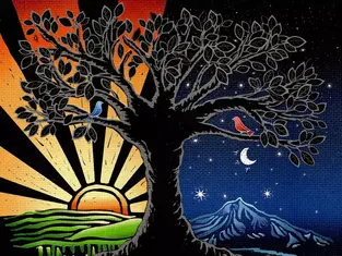 Embrace Life: Luna Keller's Uplifting Folk-Pop Anthem 'Live It All'